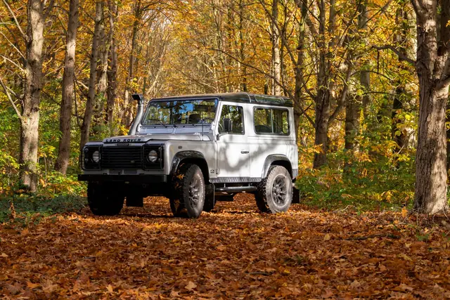 A white Land Rover Defender parked on a leaf-covered forest track in autumn